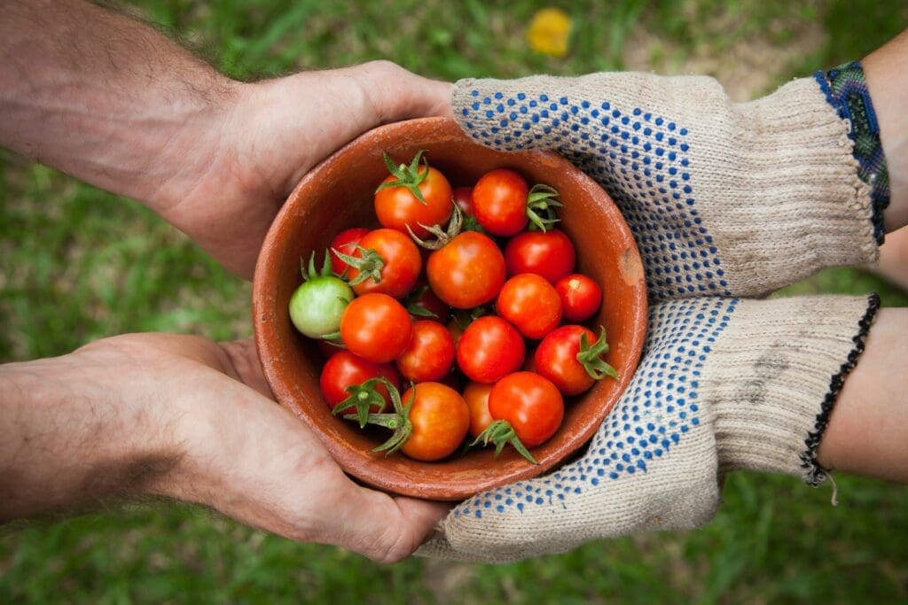 Organic Food